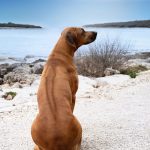 justaflirtof luanda3