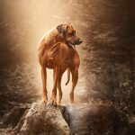 justaflirtof luanda5