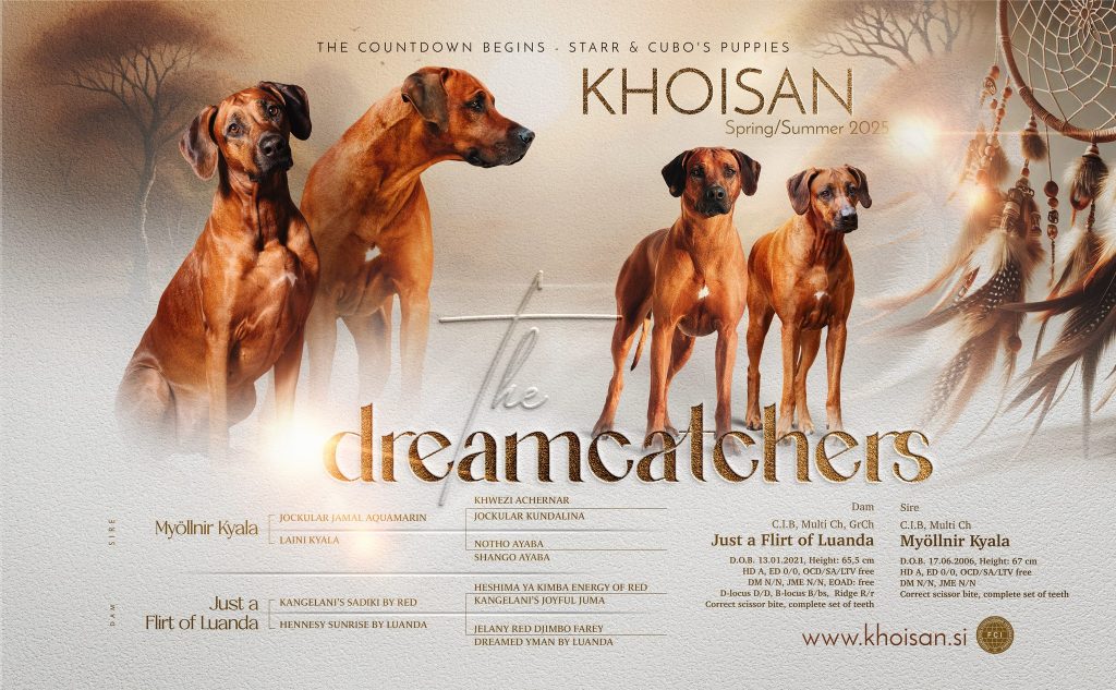 khoisan leglo